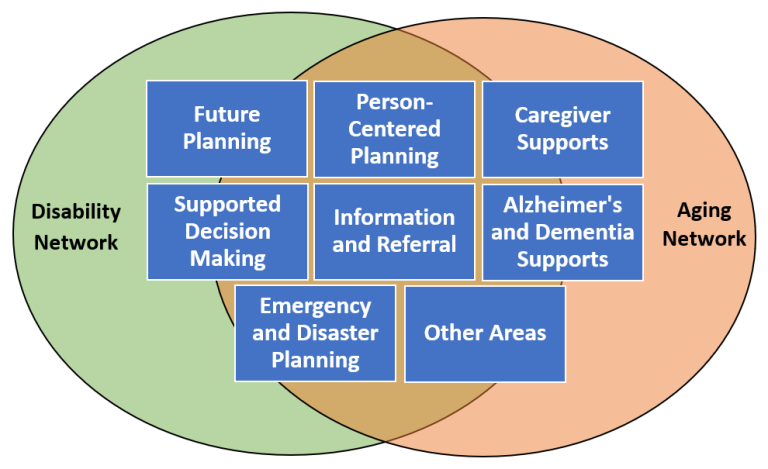 Bridging Aging and Disability Network – NACDD